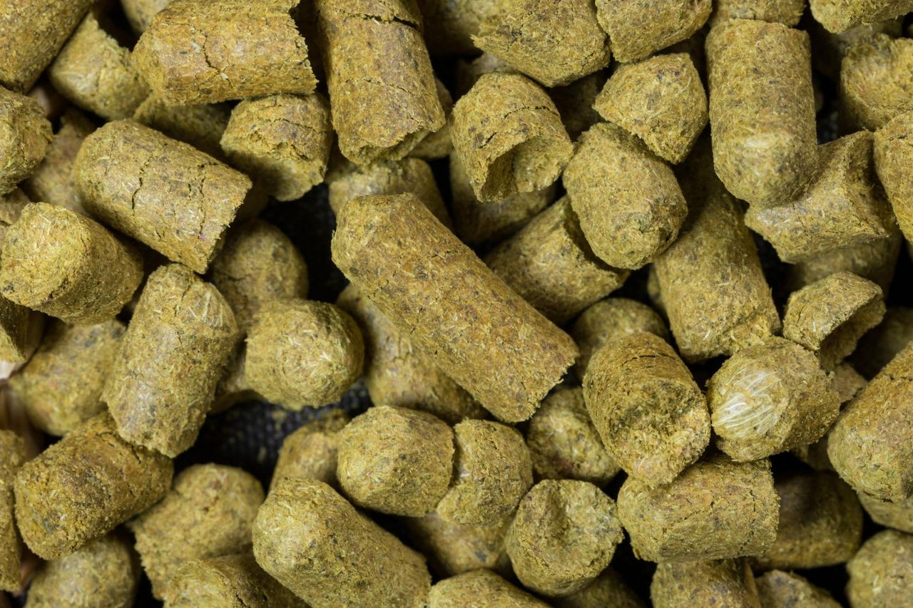 Dodawany do piwa. Koi układ nerwowy, pobudza wydzielanie soków żołądkowych