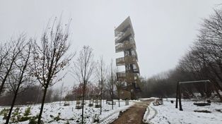 Poznań: Zimowy spacer na Szachty. Miejsce, w którym miasto oddycha ciszą