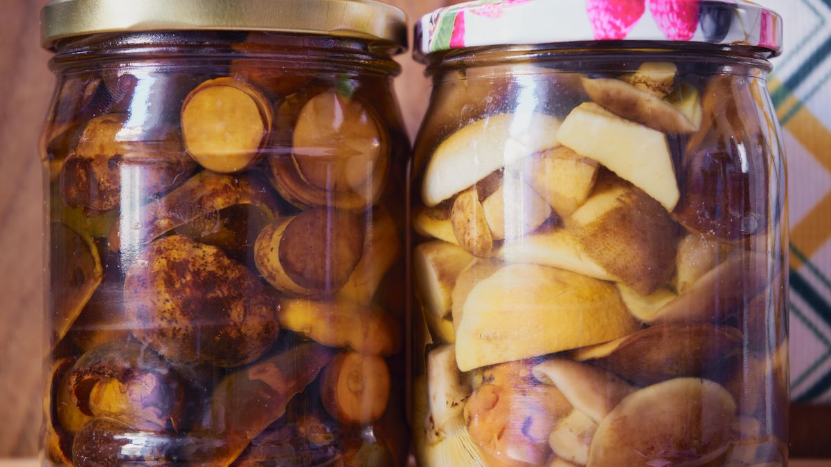 Metoda 4:1 sprawi, ze twoje grzyby wyjdą idealne