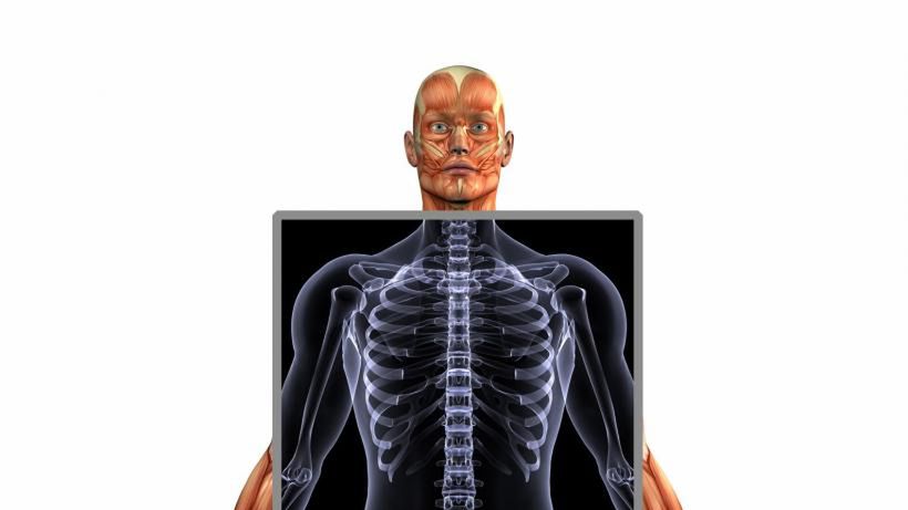 Jaka jest rola wapnia w organizmie