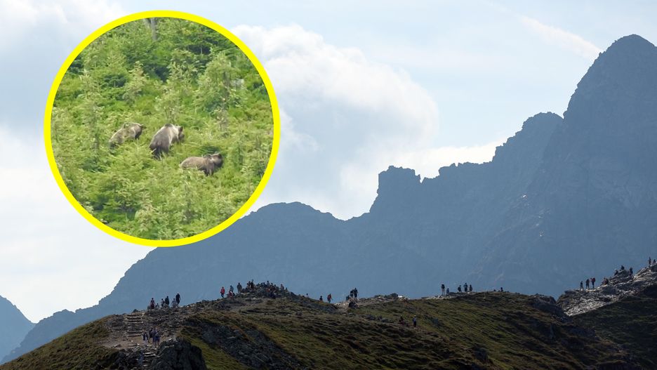 Turyści na szlaku w rejonie Kasprowego Wierchu