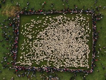 W tym roku prawdziwe szaleństwo w górach. Już 100 proc. miejsc niedostępnych