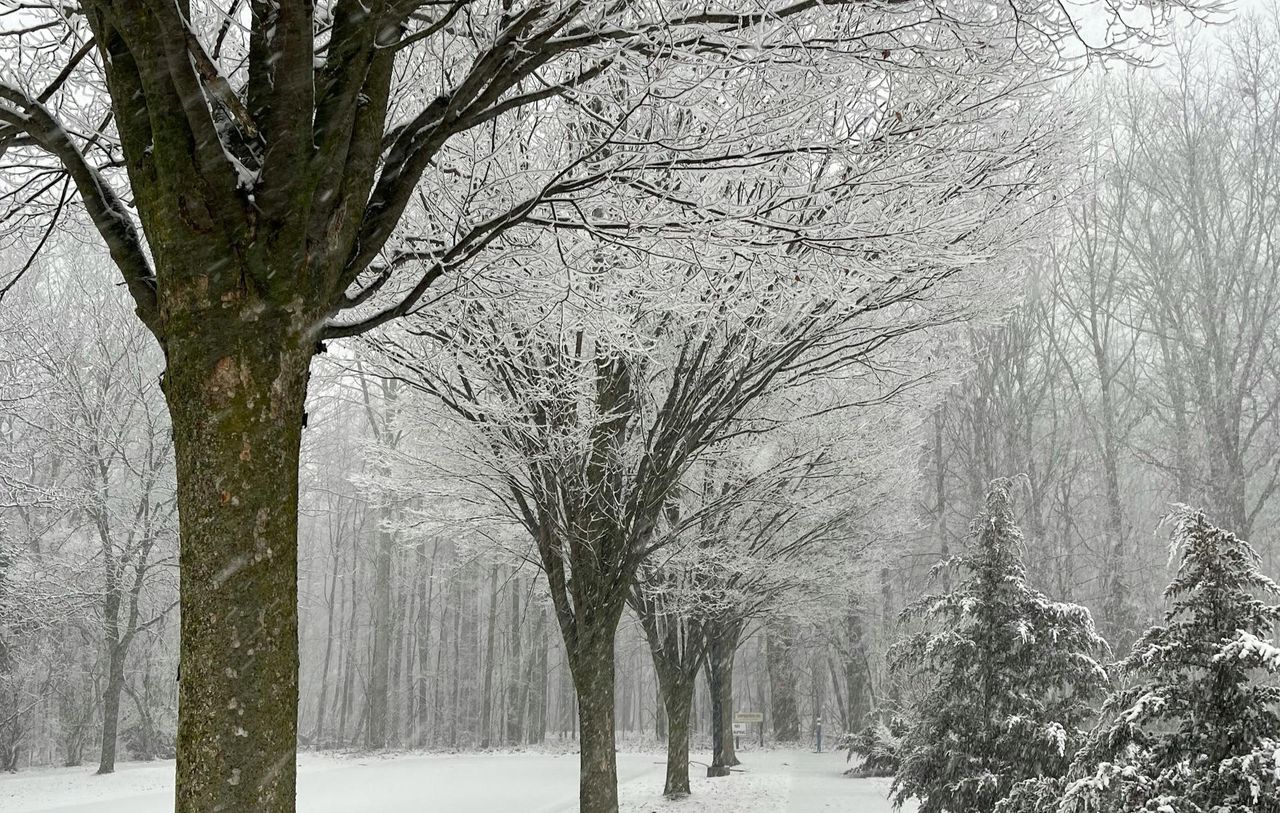 IMGW ostrzega. Nadchodzą intensywne opady śniegu