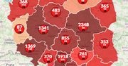 Koronawirus w Polsce. Blisko 540 zgonów. Na świecie prawie 3 mln chorych [Aktualna mapa]