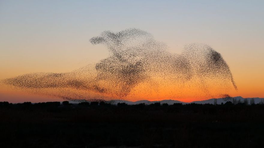 Fotograf zrobił niesamowite zdjęcia - nie zdawał sobie z tego sprawy, dopóki nie zobaczył ich w domu 6