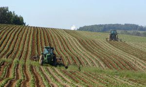 Rodziny wpłaciły zaliczki za działki. Adwokat zniknął