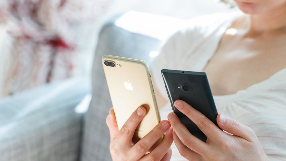 fot. Shutterstock.com