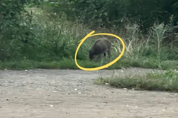 Była godz. 20.20. Zobaczył je w centrum Warszawy. Aż zrobił zdjęcie