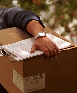 Paczka z elektroniką zaczęła się ruszać i syczeć. W środku był pyton królewski