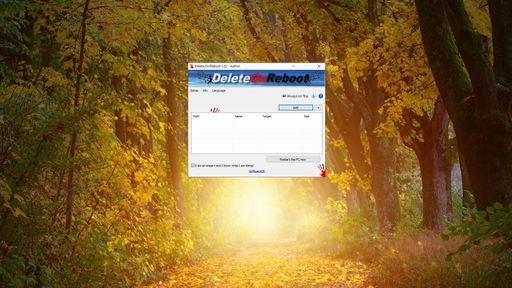 Delete.On.Reboot