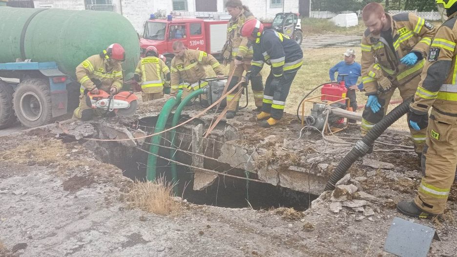 Akcja strażaków ws. krów, które wpadły do szamba miejscowości Morzyca