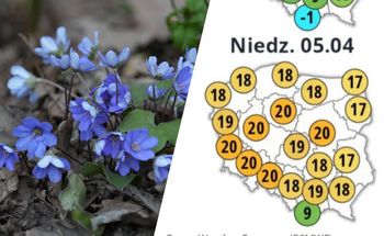 "Przyroda wie swoje". Szykuje się przełom w pogodzie?