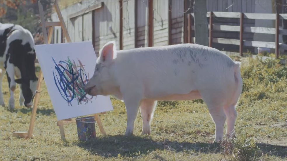Świnia malująca tor testowy dla Infiniti