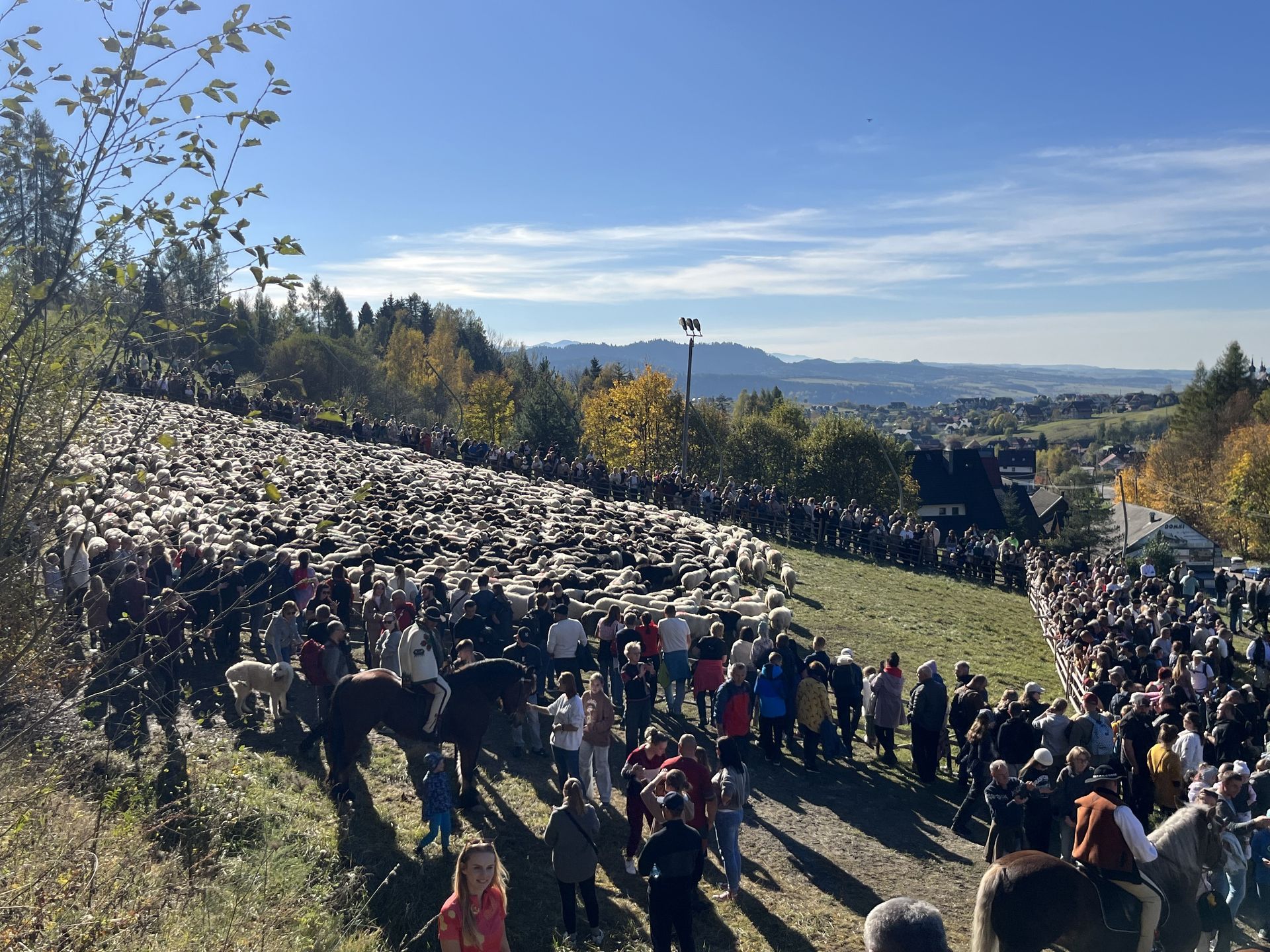 Teren u stóp góry Wdżar jest idealny na redyk