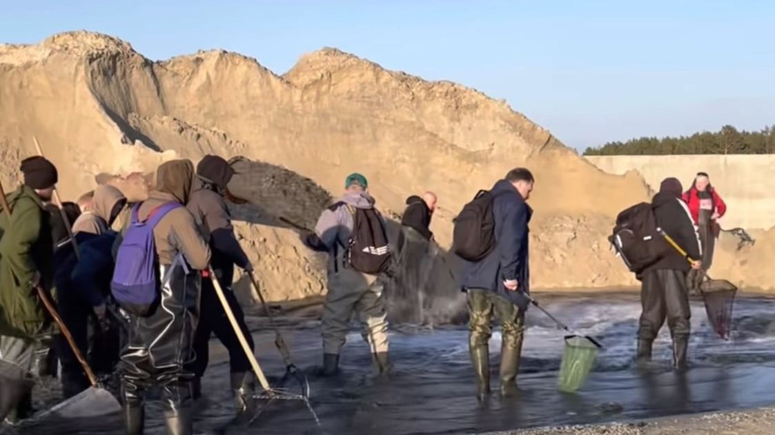 Na terenie przekopu Mierzei Wiślanej mają być wyrzucane wielki kawałki bursztynu