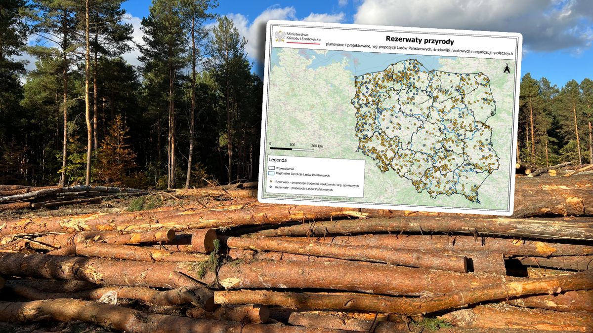 Powierzchnia rezerwatów leśnych ma zwiększyć się dwukrotnie