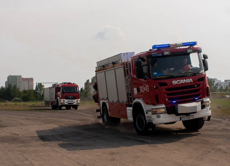 Pożar budynku. Spłonęło pięć zwierząt