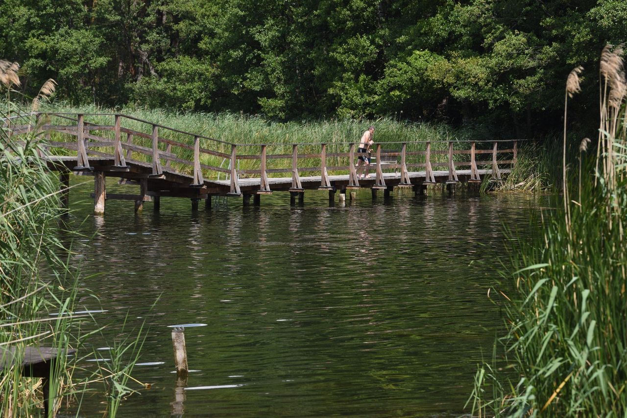 Gdańsk: RZGW wykrył prawie 2 tys. nielegalnych pomostów
