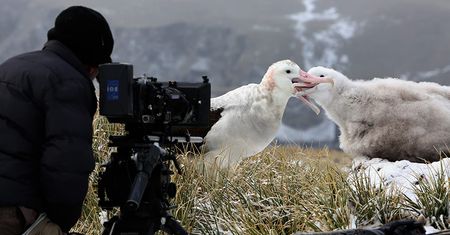 Netflix udostępnił filmy dokumentalne za darmo. Jest jeden haczyk