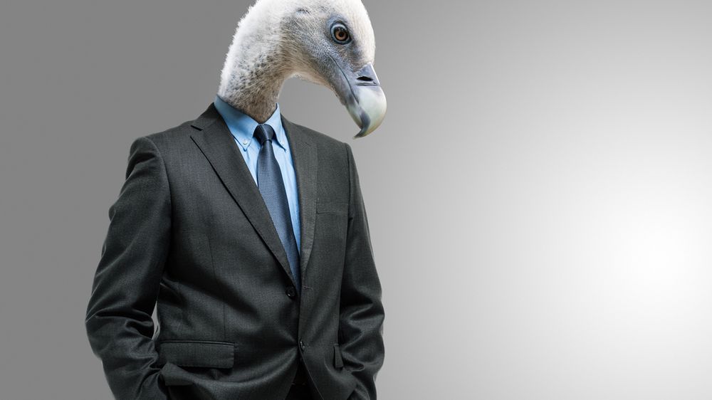 Czy polscy politycy nauczą się do wyborów korzystać z nowych mediów? 1