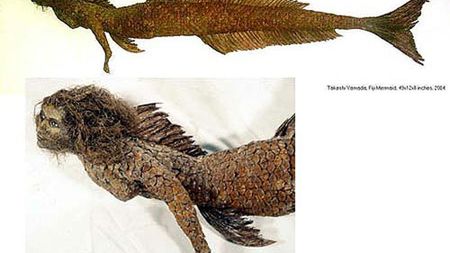 Czy syreny istniały naprawdę? [wideo] 1