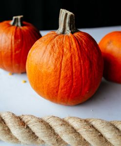 Zoo ogłasza zabawę. Na Halloween przygotuj rzeźbę z dyni