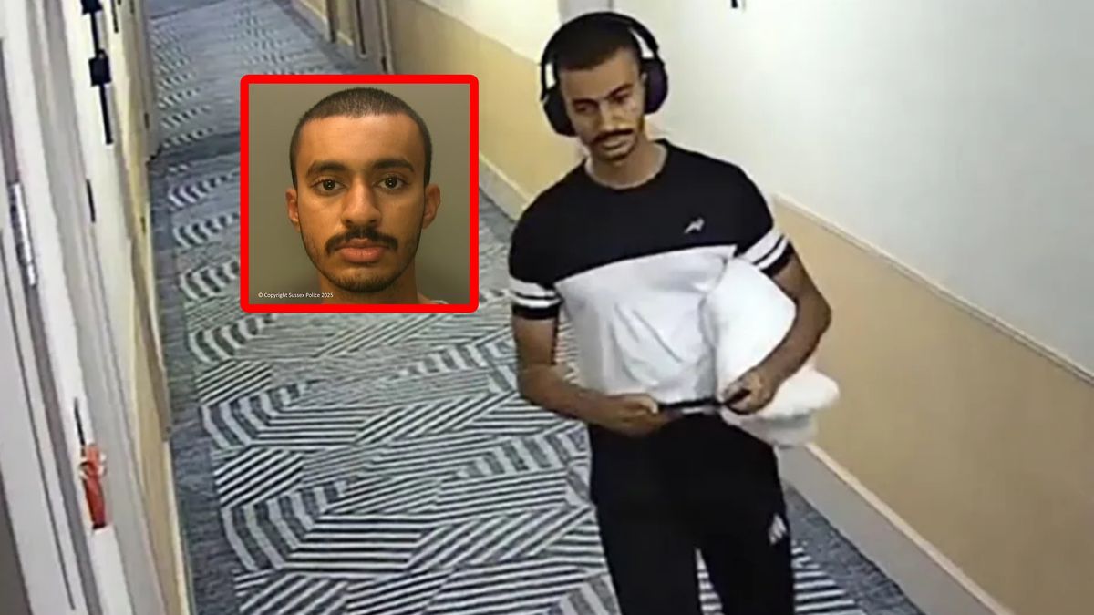 Hamdan Alshamsi skazany.