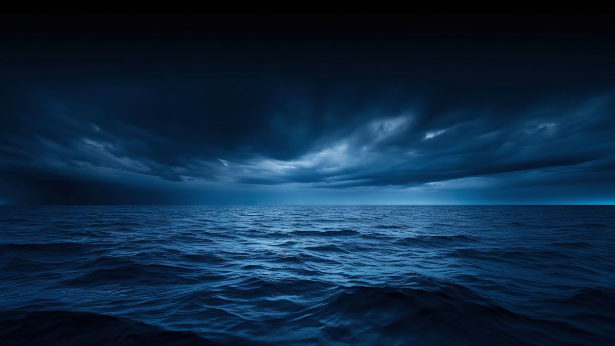 Rekiny mogą być skłonne do ataków szczególnie w ciemne noce 