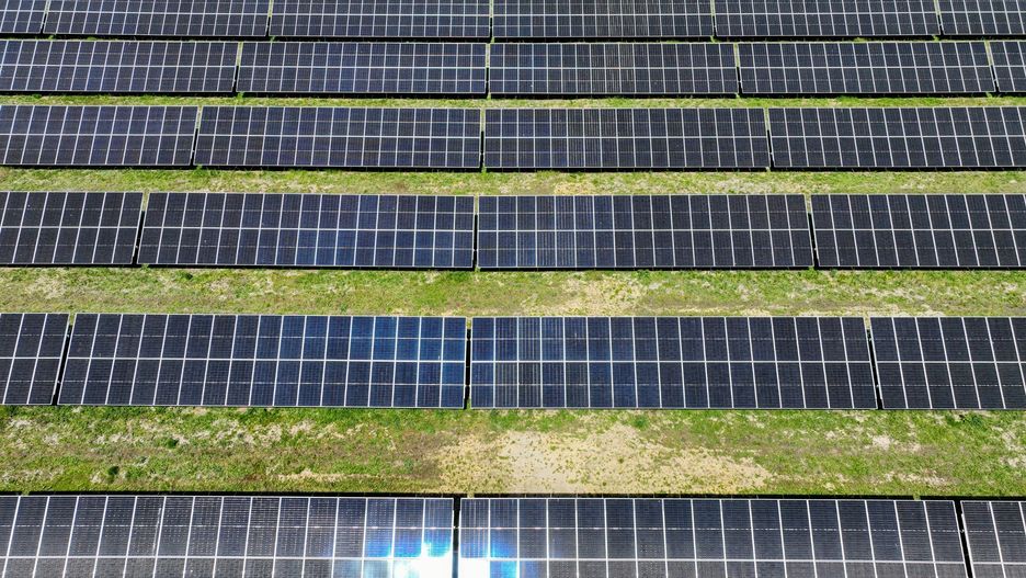 Jedna z największych farm fotowoltaicznych w Wielkopolsce ruszyła pod Poznaniem