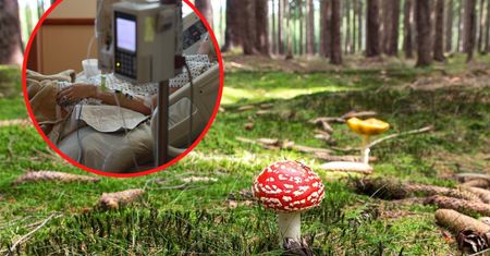 Śmiertelna moda z TikToka w Polsce. Drgawki, psychoza a nawet śmierć