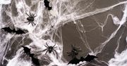 Jak zrobić sztuczną pajęczynę na Halloween? Proste sposoby