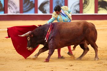 Tragedia w Maladze. Byk zabił byłego matadora