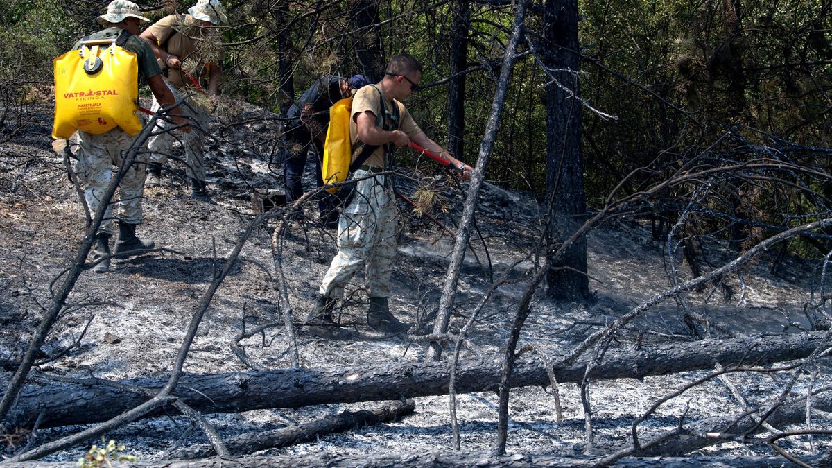 Z pożarami walczą m.in. Grecja, Macedonia i Serbia