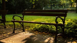 Legnica: 49 nowych ławek stanęło w legnickim parku, przy fontannie multimedialnej. Poprzednie były "niewypałem"