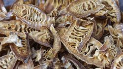 Naukowcy odkryli wyjątkowe właściwości bambusa. Obniża poziom cukru i wspiera serce