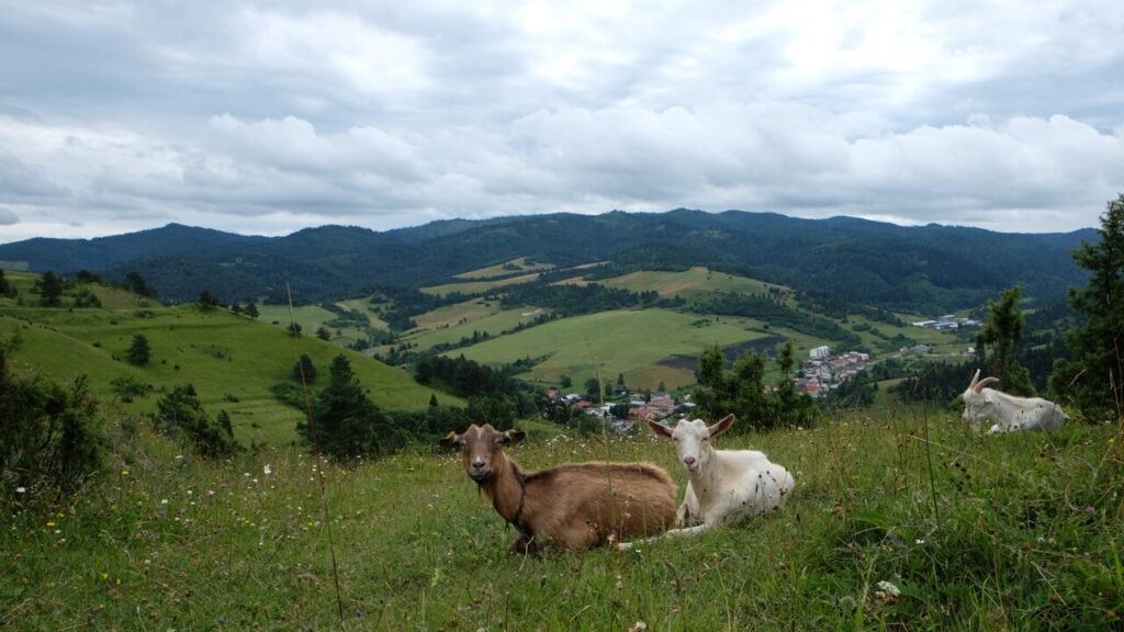 Lipnik w Słowacji - Przełęcz pod Tokarnią