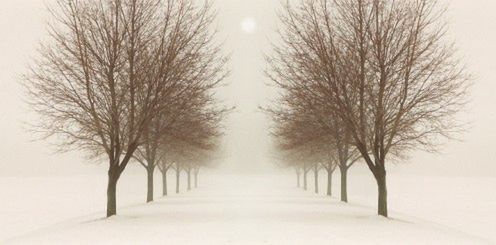 15 inspirujących zimowych fotografii [GALERIA] 4