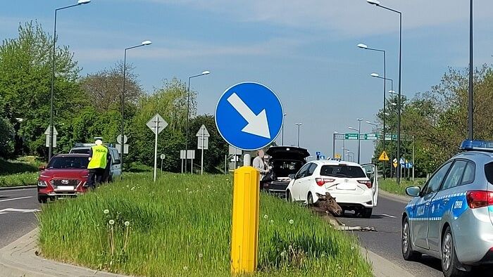 Potrącony łoś na ul. Węglarza w Lublinie
