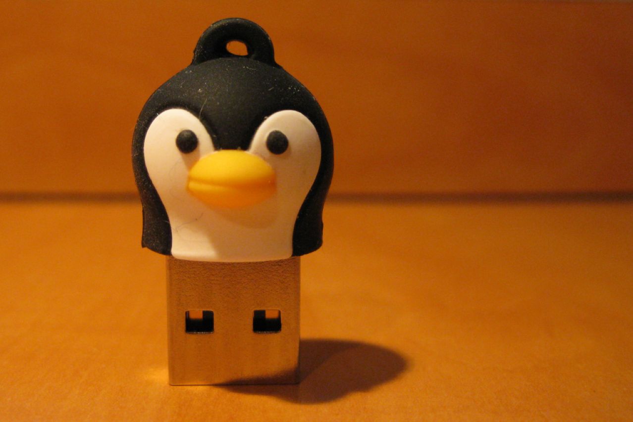 Linux wyleczył się z koszmarów i pozbył wsparcia dla zapomnianych procesorów