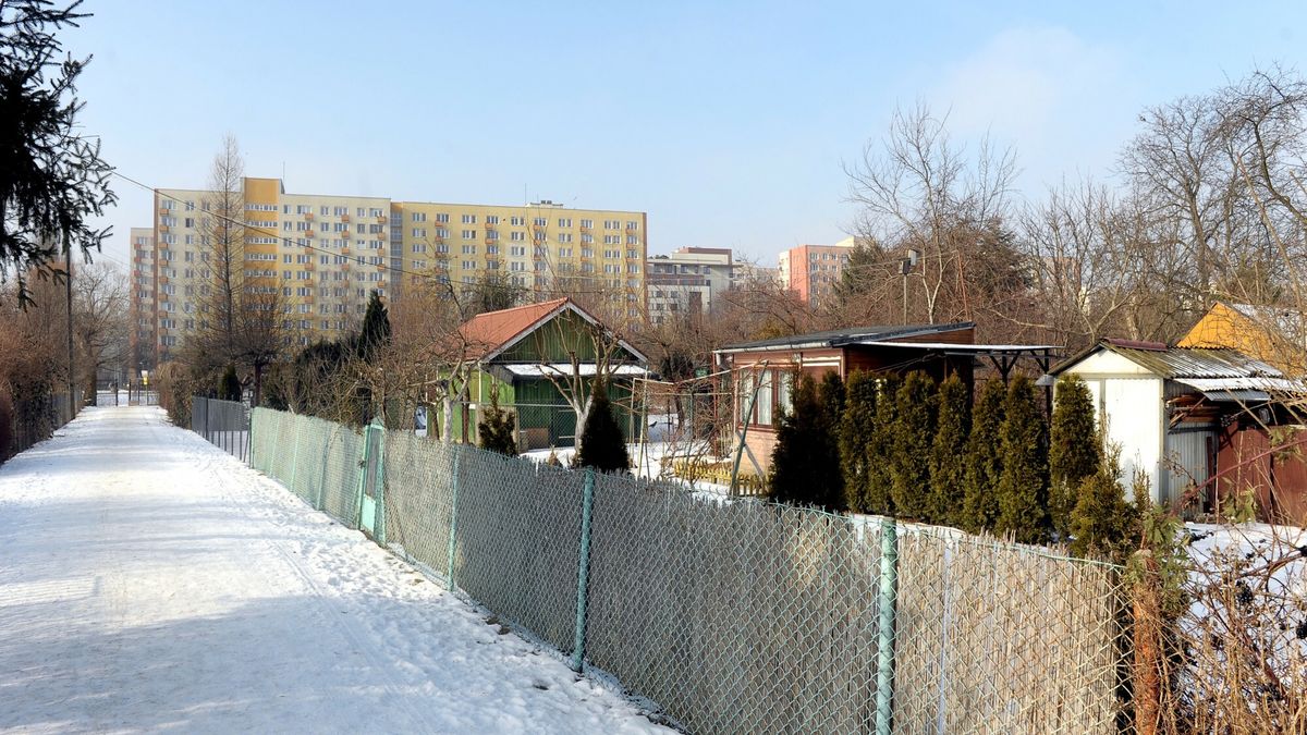 Rodzinne Ogródki Działkowe na Saskiej KępieFot. Jan Bielecki/East News, Warszawa 15.02.2017  Rodzinne Ogródki Działkowe na Saskiej KępieJAN BIELECKI