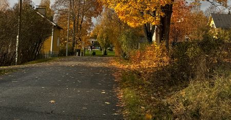 Pogoda na początek grudnia. Znów zrobi się cieplej?