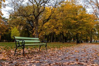 Weekend z pogodowym zwrotem. Deszcz, wichury i śnieg w górach