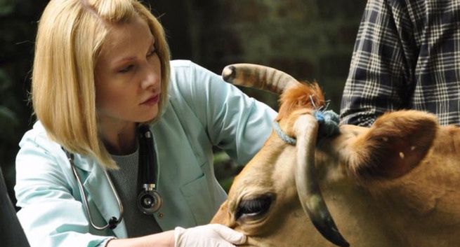 Czwarta seria „Blondynki” ma trafić do jesiennej ramówki TVP1