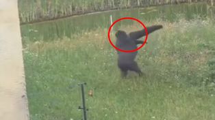 Wideo z Warszawy. "Tego nie da się obejrzeć tylko raz"