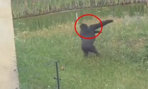 Wideo z Warszawy. "Tego nie da się obejrzeć tylko raz"