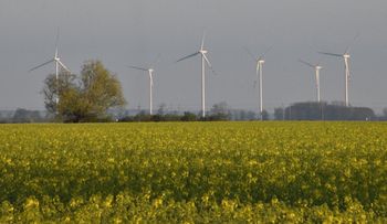 Magazyny energii pod kontrolą. Grupa Mosty i Respect Energy łączą siły