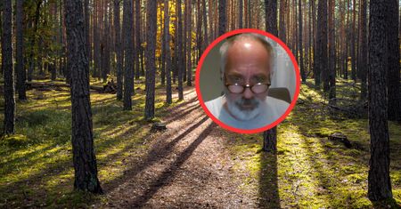 Polacy uwielbiają te grzyby. Ekspert wskazał termin. "Po 15 czerwca"