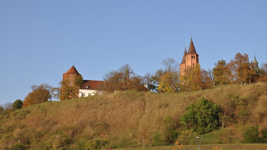 Płock. Kto wygrał wybory na prezydenta miasta?