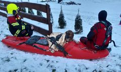 Dobre Miasto. Akcja na jeziorze. Strażacy uratowali tonącego psa