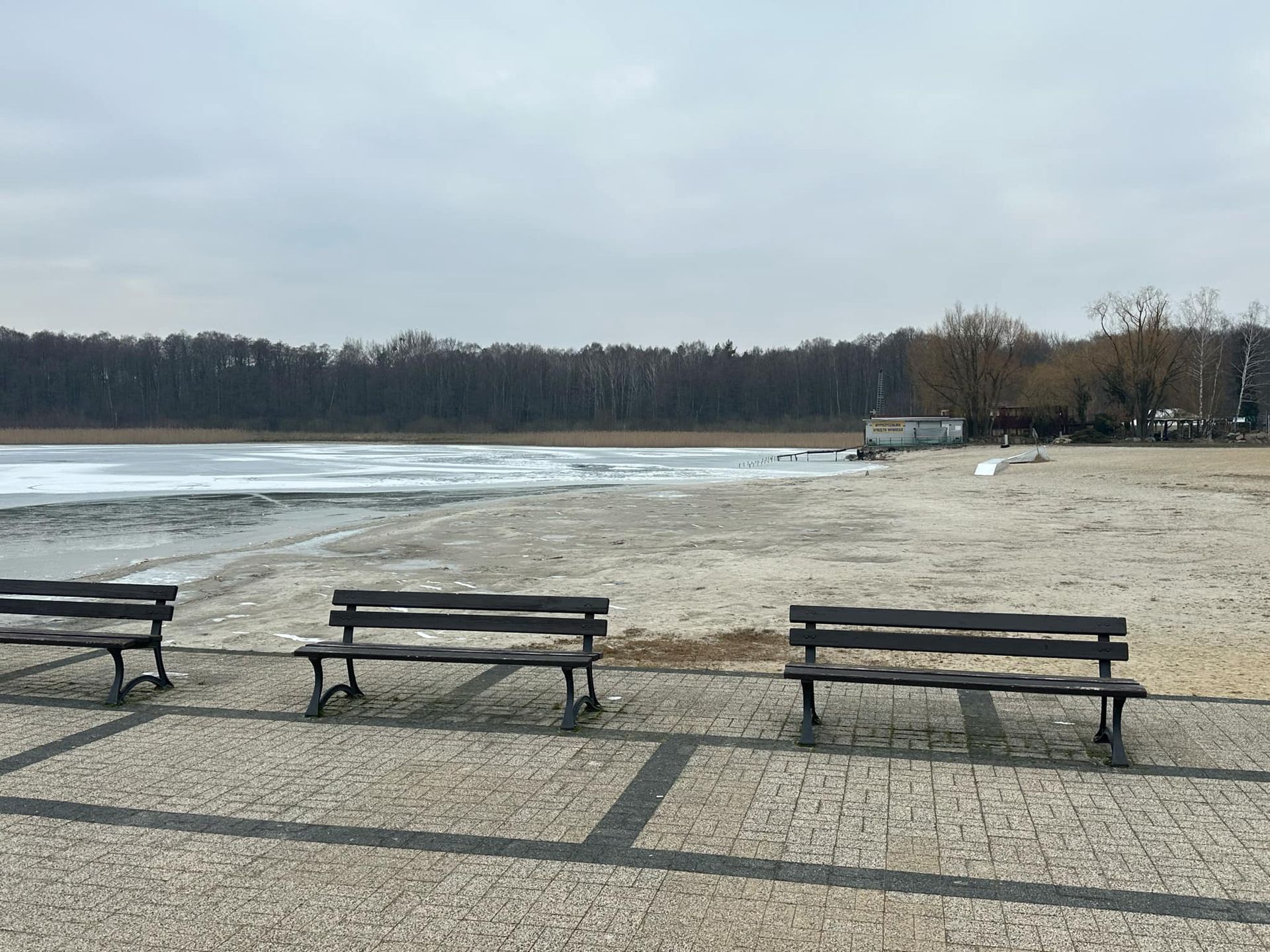 Wstrząsające obrazki ze Skorzęcina.